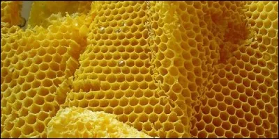 Quelle substance sécrétée par les abeilles est aussi utilisé pour faire des bougies ?