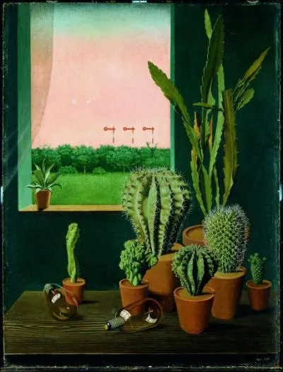 'Cactus et smaphores'