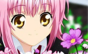 Quiz Shugo chara