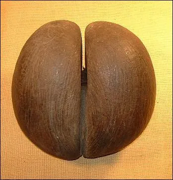 Quel est ce fruit, noix de luxe des Seychelles, qui sert surtout � la d�coration ?