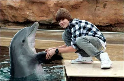 Comment s'appelle la tourne mondiale de Justin Bieber ?