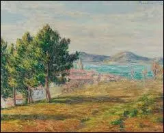 Qui a peint ' St Tropez, vue de la citadelle' ?