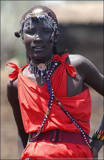 Lequel de ces pays africains tait une colonie britannique ?