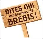 ''Le meilleur des brebis'' , c'est -----------------.