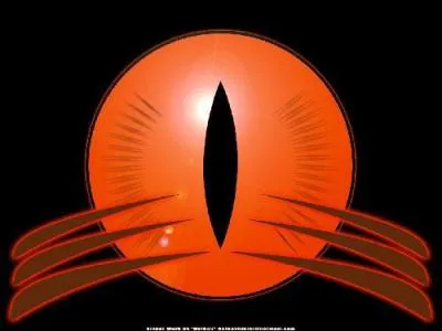 Comment se nomme cet oeil ?