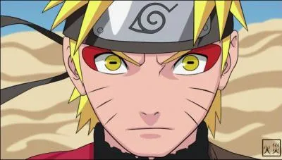 Comment se nomme cet oeil ?