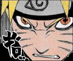 Comment se nomme cet oeil ?