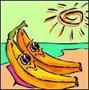 Que banane pour le soleil.