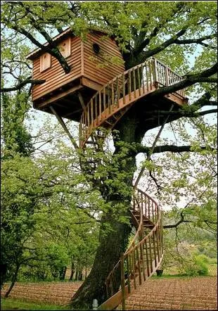 Nous habitons cabane.