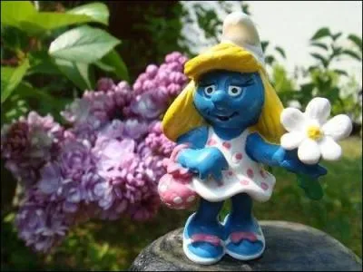 Quel est ce Schtroumpf ?