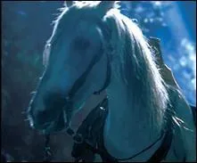 Dans quel film rencontrons-nous Asfaloth ?