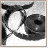 Elle en possde en gnral 2 :