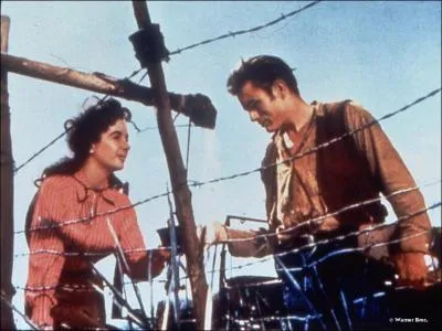 Dans quel film a-t-elle eu comme partenaire James Dean ?