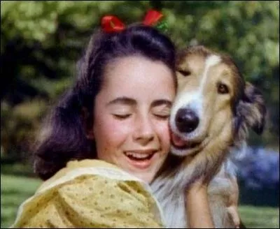 Dans combien de film(s) avec la chienne Lassie a-t-elle tourn ?