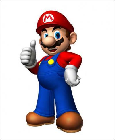 Mario est un :