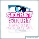 Qui a repris le concept de 'Loft Story' pour créer 'Secret Story' ?