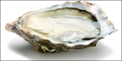 De quelle couleur est la coquille de l'huître ?