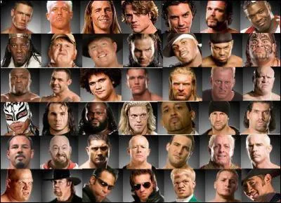 Qui a gagn� le plus de titres en WWE ?