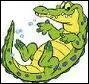 Quelle diffrence y-a-t-il ent'e un C'ocodile et un Alligato' ?