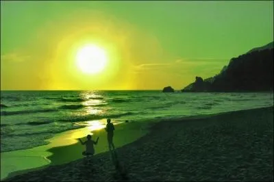 Comment s'appelle le policier dans le roman de Harry Harrison, 'Le Soleil Vert' ?