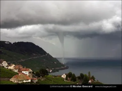 Au mois de juin, une comptition a lieu sur le Lac Lman. Quel engin y participe ?