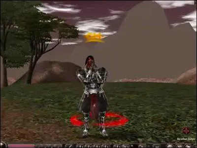 Qu'est-ce qu'un 'GM' ?