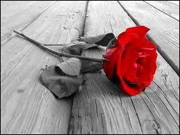 A qui doit-on le vers 'Et rose elle a vcu ce que vivent les roses, l'espace d'un matin' ?