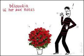 Que veut-dire dcouvrir le pot aux roses ?