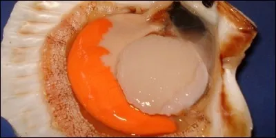 Comment appelle-t-on la partie orange d'une coquille Saint-Jacques ?