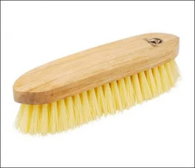 Comment cette brosse s'appelle-t-elle ?