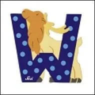 Dans l'alphabet, Q est _____ W.