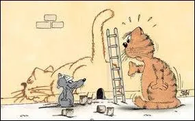 Pourquoi les souris n'aiment-elles pas les devinettes ?