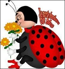 Que demande la coccinelle chez le pharmacien ?