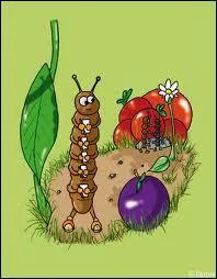 Maman Mille-patte compte les pattes de son nouveau-n : 998, 999, 1000, 1001... .