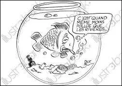 Quel est ce poisson qui a fini par attrapper une grosse bronchite ?