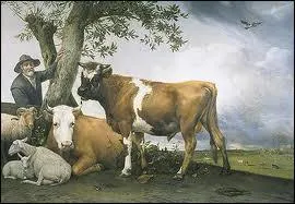Ce peintre animalier néerlandais a peint ' The Bull' .