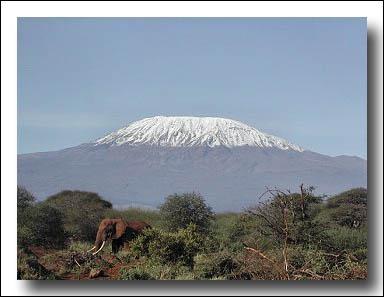 Qui a chant 'Les neiges du Kilimandjaro' ?