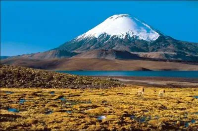 A quelle altitude culmine le plus haut volcan du monde, le Nevado Ojos del Salado dans les Andes ?