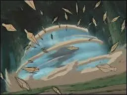 Quelle est cette technique ?