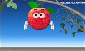 Laquelle de ces boissons n'est pas faite avec des pommes ?