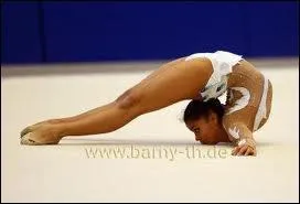 Quelle est cette figure ?