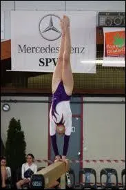 Quelle est cette figure ?