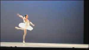 Quelle est cette figure ?