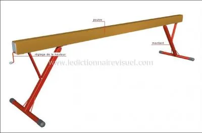 Quel est cet objet ?