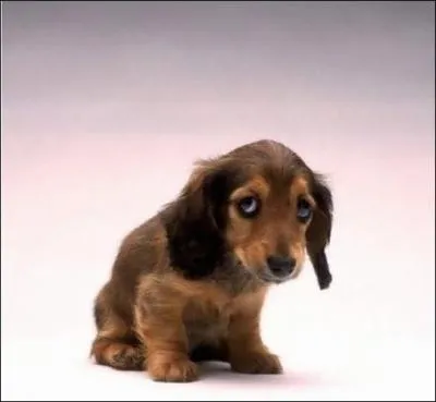 Attitude bonne ou mauvaise .