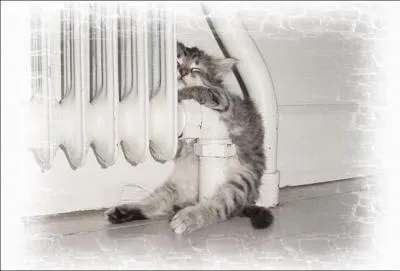 Attitude bonne ou mauvaise .