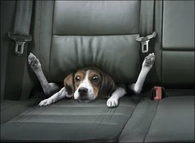 Attitude bonne ou mauvaise .