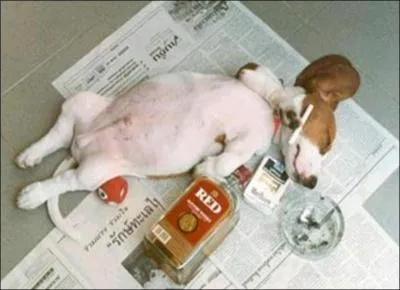 Attitude bonne ou mauvaise .