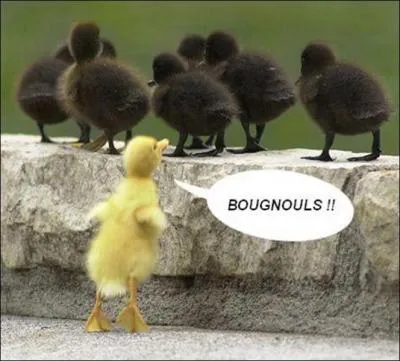 C'est ' vilain' ... .