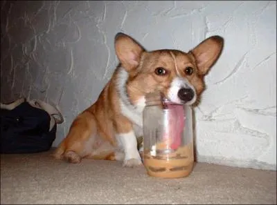 C'est ' vilain' ... .